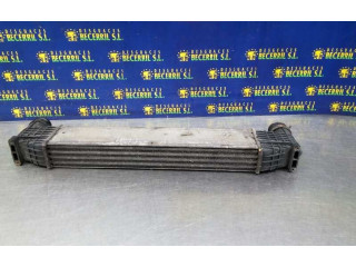 Интеркулер Seat Alhambra (Mk1)