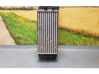 Интеркулер 9800291280, IA2077 Citroen Berlingo 1.6