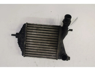 Интеркулер     Fiat Punto (188) 