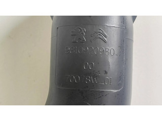 Деталь (детали) канала забора воздуха