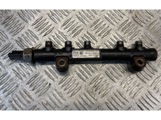 Vstřikovací lišta 9685297580, 110041186 Ford Fiesta