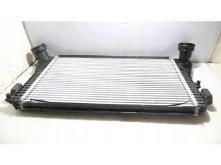 Интеркулер Skoda Octavia Mk2 (1Z)