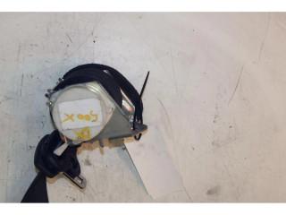 Задний ремень безопасности