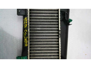 Интеркулер 9613541380 Citroen Xsara 1.9