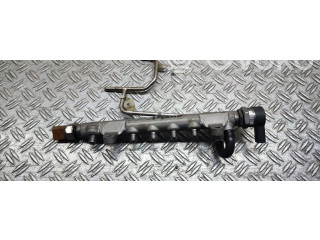 Vstřikovací lišta    Volkswagen Tiguan     