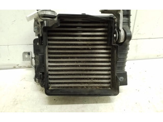 Интеркулер 9837473980, YL00580380 Citroen C5 X