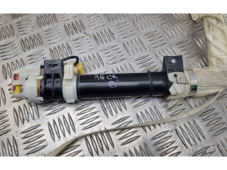 Надувная подушка для крыши       Audi A6 S6 C5 4B  1997 - 2005 года   