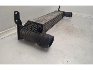 Интеркулер SINREF Seat Alhambra (Mk1)