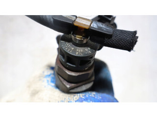 Форсунка 0445110369    Volkswagen PASSAT B7 USA  CFFB 