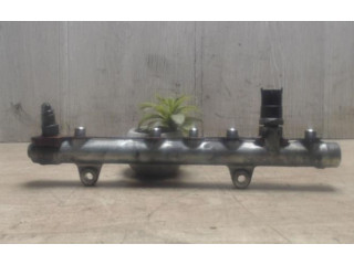 Vstřikovací lišta Renault Megane II