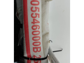 Подушка безопасности двери 4DLA331BC10 SsangYong Kyron