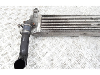 Интеркулер G3062007, 14461BB30A Nissan Qashqai+2