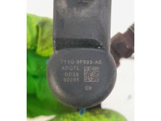 Форсунка 7T1Q9F593AB    Ford Transit -  Tourneo Connect   