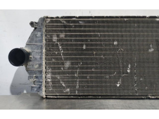 Интеркулер     Peugeot Expert 