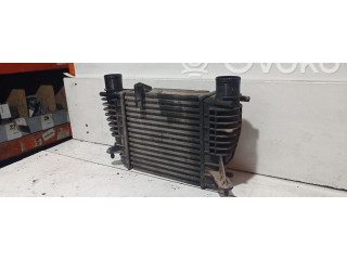 Интеркулер     Renault Clio III 