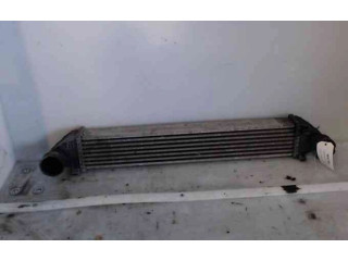 Интеркулер  1695000900, 1695000900   Mercedes-Benz A W169 