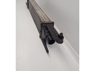 Интеркулер  55700449   Fiat Punto (199) 