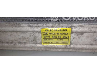 Интеркулер 2371109051, 622704 SsangYong Actyon