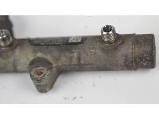 Топливная рампа 059130089D, 010809L3 Audi A6 S6 C6 4F