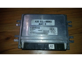 Řídící jednotka 5wy1309d, k33e18881 KIA Rio 2001