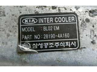 Интеркулер     KIA Sorento 