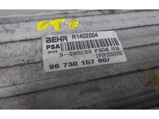 Интеркулер  9673015780, R1402004   Peugeot 5008 