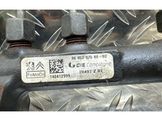 Топливная рампа 9685297580, 28497Z01   Citroen C4 II Picasso  