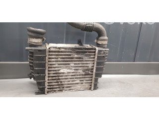 Интеркулер 880590XB Renault Clio III