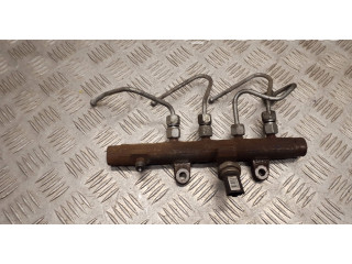 Топливная рампа A2C20001221, H820015617 Renault Scenic III - Grand scenic III для двигателя K9K832