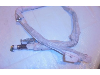 Боковая подушка безопасности    Renault Clio III