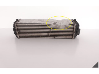 Интеркулер 7809321 BMW X5 E70