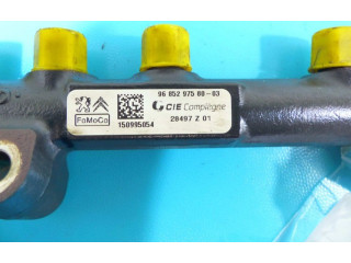 Vstřikovací lišta 9685297580-03, IMPRK1209609 Peugeot 301