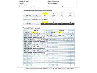 Форсунка 166008399R Dacia Duster