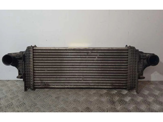 Интеркулер A1645001900 Mercedes-Benz R W251
