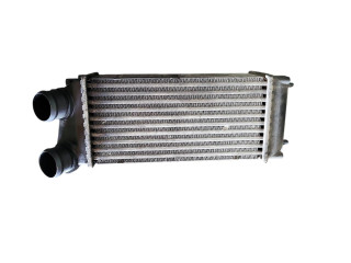 Интеркулер 9648551880, 876923JF Citroen C4 I