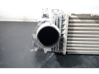 Интеркулер P2-B10-9 BMW 1 F40