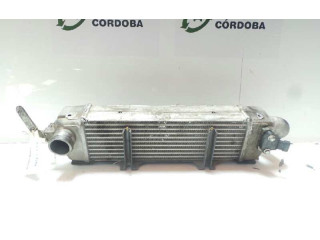 Интеркулер Tata Indigo I