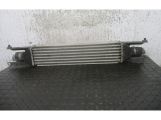 Интеркулер 0051785221 Fiat Linea