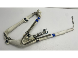 Надувная подушка для крыши