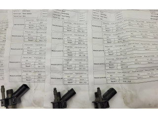 Комплект жиклеров (форсунок) 1353-7805428   BMW 5 F10 F11