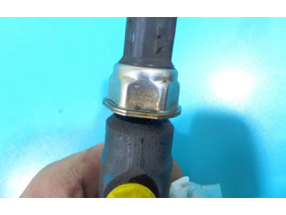 Топливная рампа IMPRK1224479   Citroen C5  