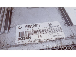 Řídící jednotka 96858577, 0281014296 Chevrolet Captiva 2008