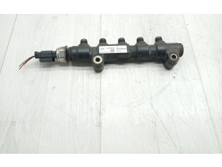 Топливная рампа 9654592680, 9655465480   Peugeot Expert  