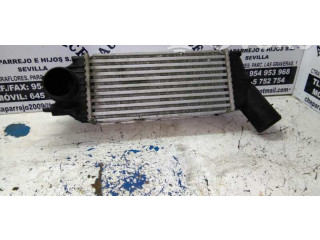 Интеркулер 9646694680 Citroen C4 I