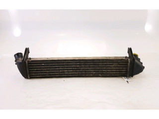 Интеркулер  8200409045, I1-2341X   Dacia Sandero 