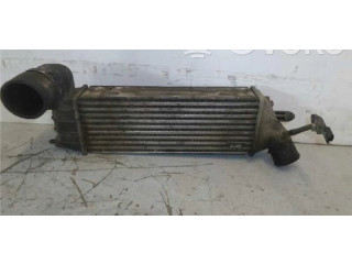 Интеркулер 1489396080, 1489396080 Citroen C8