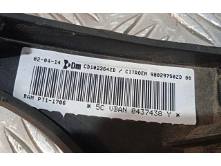 Подушка безопасности двери 98029750ZD Citroen Berlingo