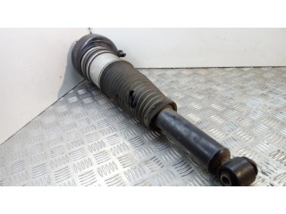 Задняя пневматическая (воздушная) подушка с амортизатором