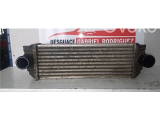 Интеркулер     Ford Transit -  Tourneo Connect 