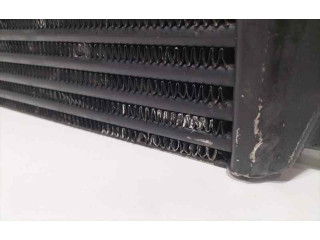 Интеркулер 254714609919, 82097 Tata Telcoline